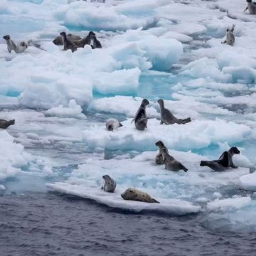 挪威斯瓦尔巴朗伊尔城+格陵兰+冰岛+丹麦哥本哈根18日跟团游