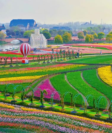 9D8N • China + Shanghai + Yancheng + Taizhou + Yangzhou + Zhenjiang + Nanjing + Jiangsu Jintan Maoshan Mountain Resort + Wuxi