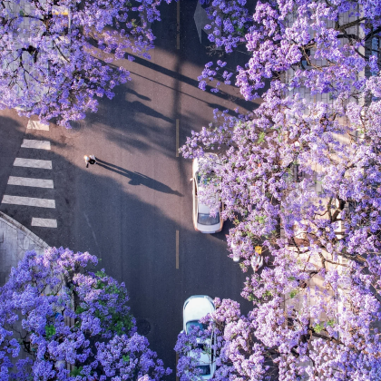 昆明+抚仙湖+建水+元阳+普者黑景区+弥勒6日5晚私家团