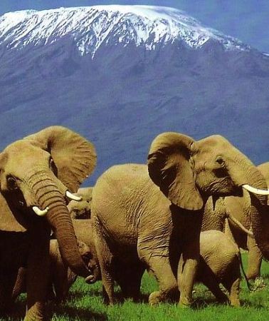 2D1N • 2 Days Amboseli Safari