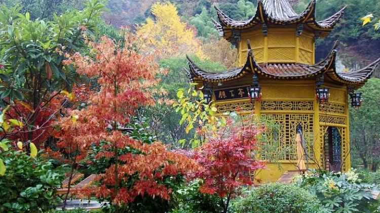 2D1N · Private Tours · 2-Day Huangshan Private Tour: Yellow Mountain and Hot Spring Spa Experience