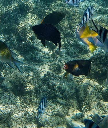 3D2N • 3-Day 2-Nights Group Boat Expedition from El Nido to Coron