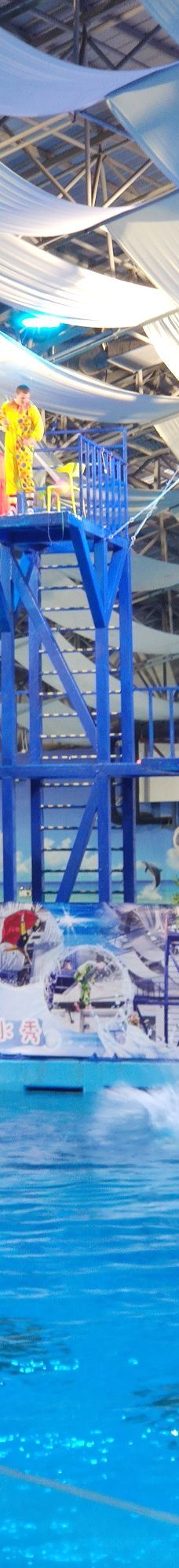合肥海洋世界-合肥