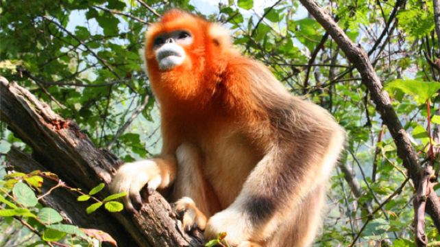 神农架、宜昌+6