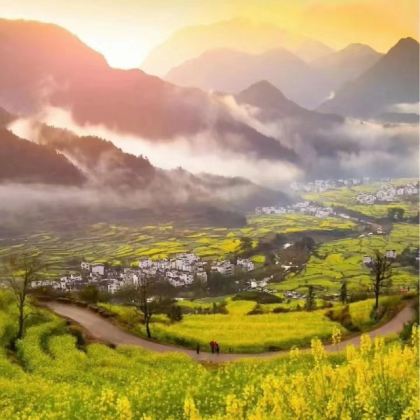 宏村景区+西递+婺源3日2晚私家团