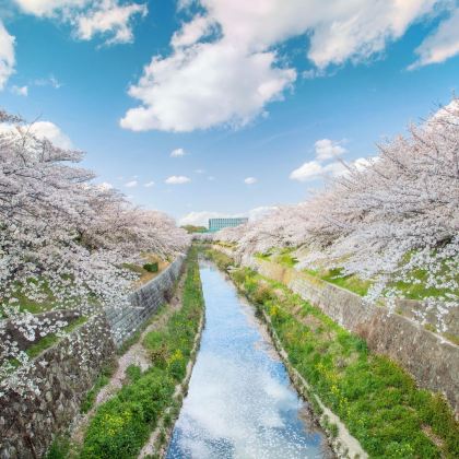 日本名古屋+京都14日13晚私家团