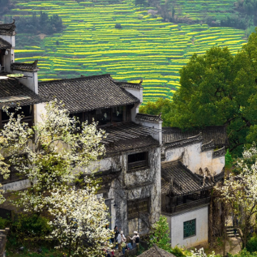 庐山风景名胜区+景德镇+婺源+三清山风景区+南昌6日5晚跟团游