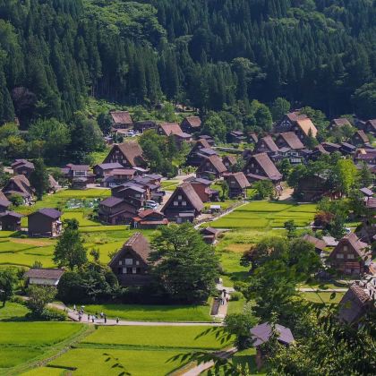 日本大阪+京都+白川乡+高山市+金泽+青森市21日20晚私家团