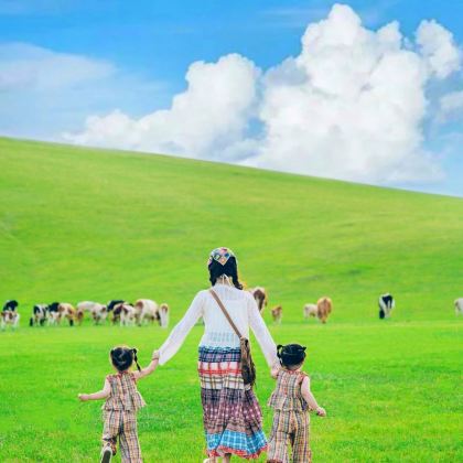 呼和浩特+辉腾锡勒草原+乌兰哈达火山地质公园+响沙湾5日4晚私家团