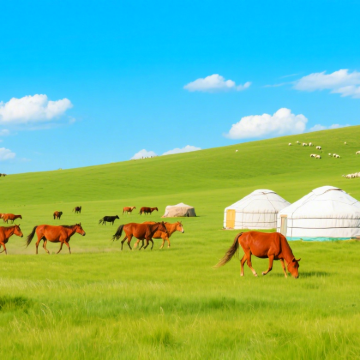 呼伦贝尔+阿尔山+满洲里+额尔古纳+根河+漠河+北极村10日9晚私家团