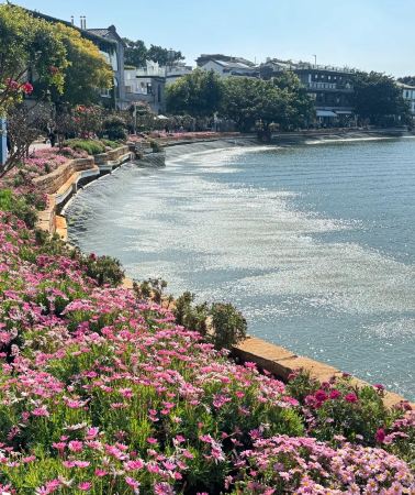 6D5N • Lijiang + Dali + Lugu Lake: Bonfire party, sunrise viewing, pig-trough boat ride, Erhai Lake, tie-dye experience, Jade Dragon Snow Mountain, Baisha Ancient Town