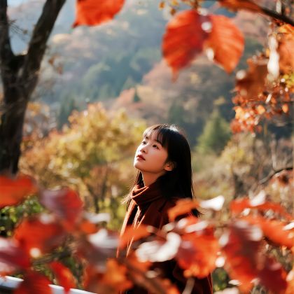 成都+剑门关+巴中+光雾山旅游景区+米仓山国家森林公园+十八月潭景区+阆中古城7日6晚私家团