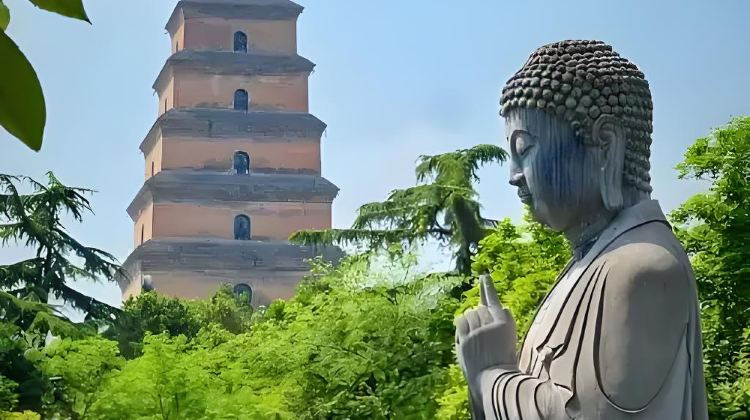 4-Day Highlights Food & Culture Private Tour from Xi’an: Terracotta Army, Xi'an City Wall and Big Wild Goose Pagoda丨Free Time Included·  