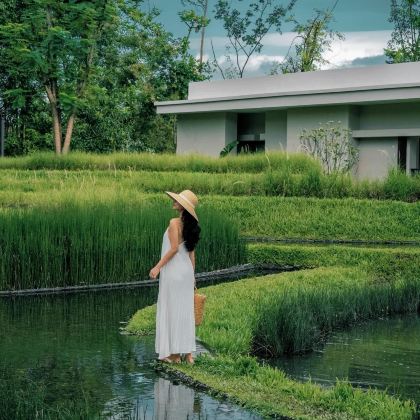 云南西双版纳5日4晚自由行