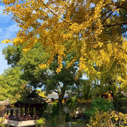 绍兴+绍兴鲁迅故居+兰亭景区+东湖+安昌古镇4日3晚私家团