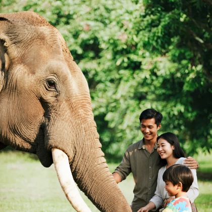 清迈6日5晚私家团