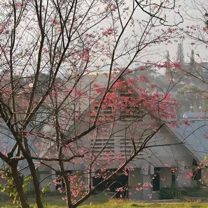 澳大利亚+悉尼+黄金海岸13日11晚拼小团