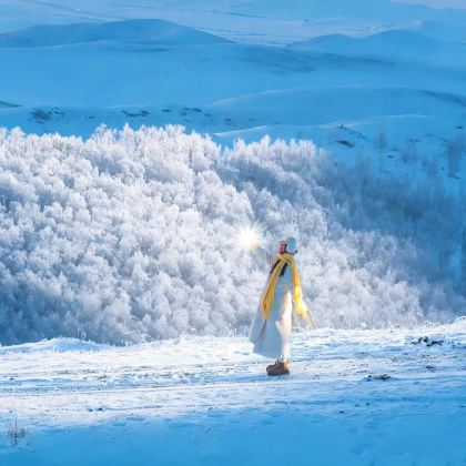 呼伦贝尔+根河+额尔古纳+满洲里+牙克石6日5晚拼小团