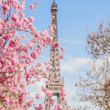 荷兰+法国12日11晚私家团