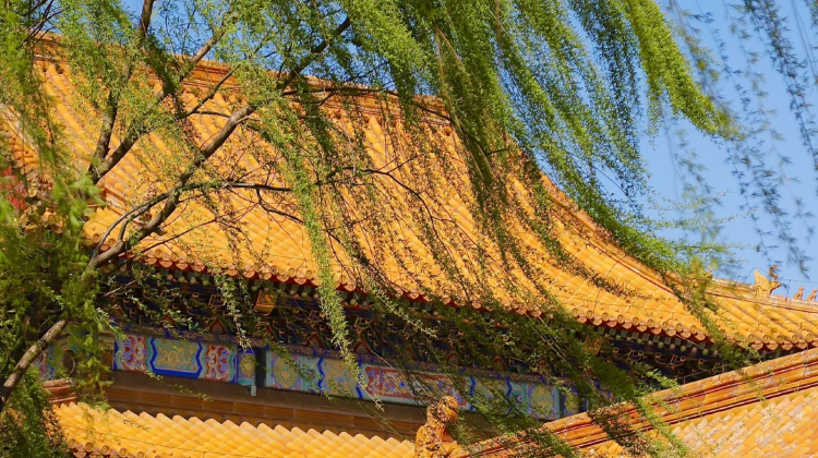 7D6N · Private Tours · Explore Gubei Water Town accommodation at Gubei Water Town Hotel, tour the Temple of Heaven in ancient attire, paint opera masks in hutongs and visit classic Beijing siheyuan.