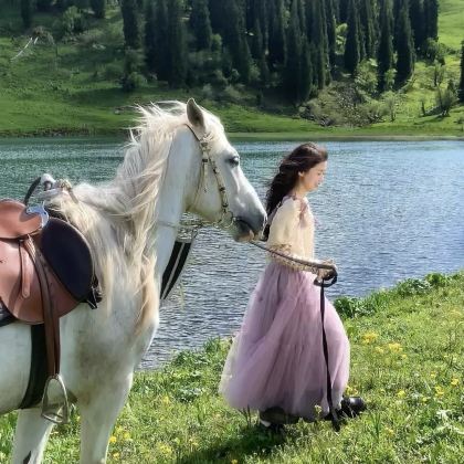 新疆乌鲁木齐+北疆+天山天池+喀纳斯景区+禾木风景区+吐鲁番9日8晚私家团