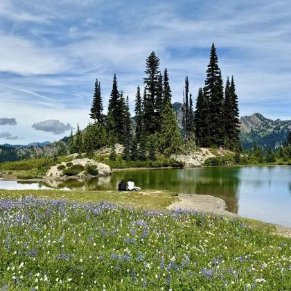 美国西雅图+旧金山4日私家团