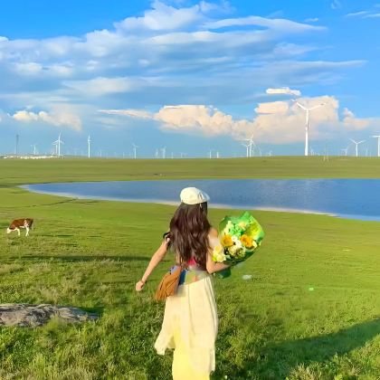 呼和浩特+乌兰哈达火山地质公园+辉腾锡勒草原+红石崖国家生态公园+响沙湾3日2晚拼小团