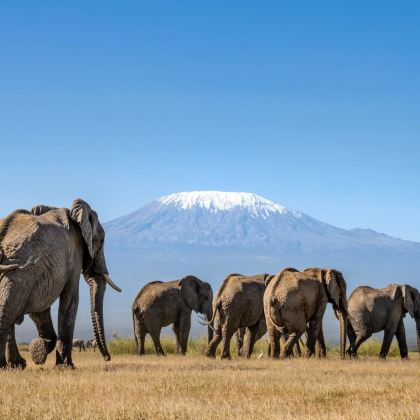 肯尼亚13日11晚私家团