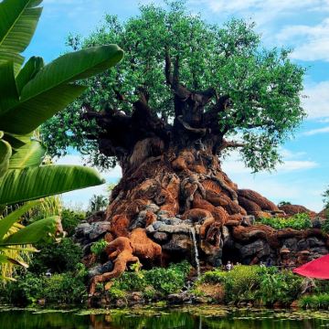 美国奥兰多+迪士尼动物王国+环球冒险岛乐园+迈阿密7日6晚拼小团