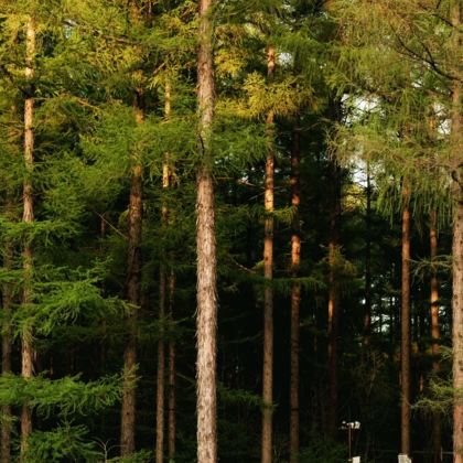 沈阳+长春+长白山+哈尔滨7日6晚私家团