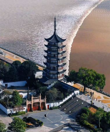 3D2N • Shanghai + Haining