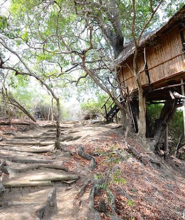 3D2N • 3 Day Lodge/Treehouse Kruger National Park Safari