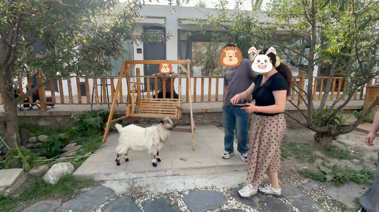 乌鲁木齐+14