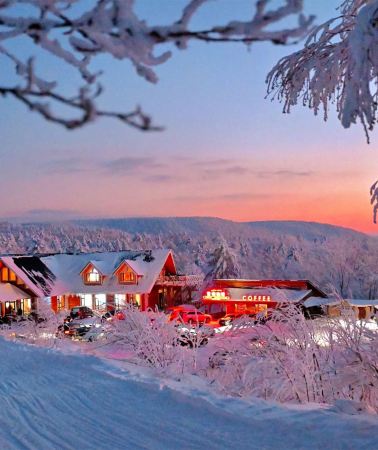 8D7N • 8-person small group, round-trip flights between Harbin and Mohe, no shopping and no mandatory optional expenses throughout the trip, including scenic spot tickets and in-scenic transportation
