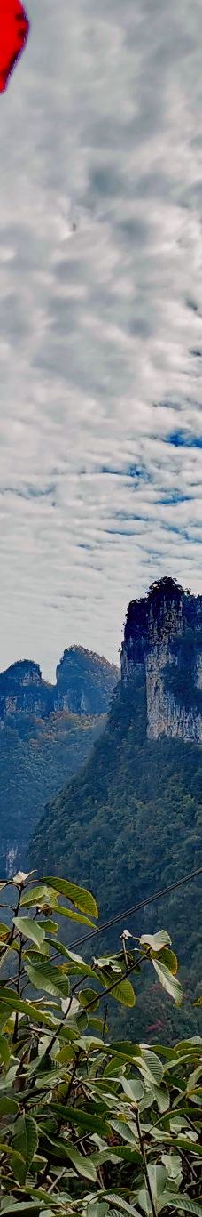 柴埠溪大峡谷-五峰