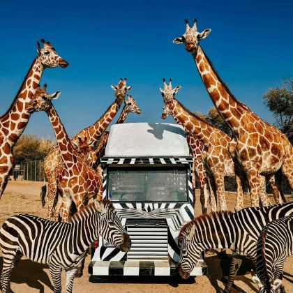 泰国曼谷+佛统+北碧6日5晚跟团游