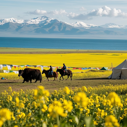 青海西宁+大柴旦+敦煌+张掖+嘉峪关7日6晚私家团