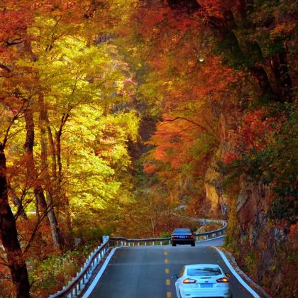 神农架5日4晚跟团游
