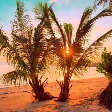 苏梅岛7日6晚自由行