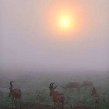 乌干达7日6晚私家团