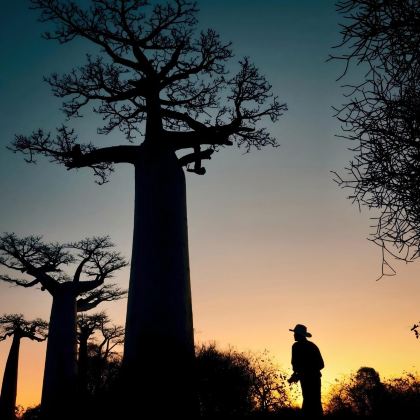 毛里求斯+法属留尼汪+塞舌尔+马达加斯加15日14晚私家团