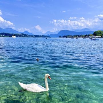 德国+捷克+波兰+匈牙利+奥地利+瑞士14日13晚跟团游