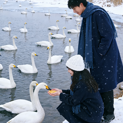 威海+烟台+蓬莱区4日3晚私家团