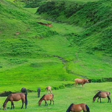 贵州贵阳+黄果树景区+荔波小七孔景区+西江千户苗寨+梵净山+万峰林景区+赤水大瀑布+肇兴侗寨+乌蒙大草原14日13晚拼小团