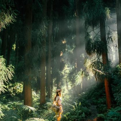 昆明+建水+元阳+普者黑景区+弥勒+西双版纳8日7晚拼小团