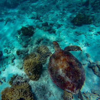 澳大利亚墨尔本+凯恩斯+悉尼+凯马+大堡礁11日9晚拼小团