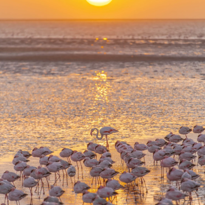 纳米比亚+津巴布韦+赞比亚+博茨瓦纳12日11晚私家团