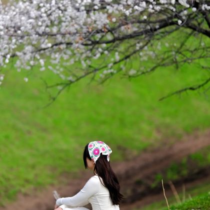 新疆北疆+伊犁5日4晚私家团