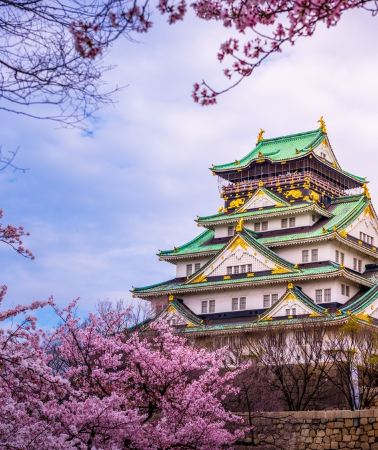 4D3N • Japan + Osaka + Kyoto + Nara City