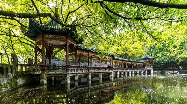 2D1N · Private Tours · Well-spend Two Days in Chongqing Private Tour